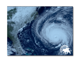 In The News: GlobalPro Offers Assistance to Policyholders Affected by Hurricane Florence